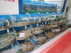 水产区-同道蒸汽海鲜烧烤自助(刘庄夜市店)