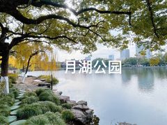 -月湖公园