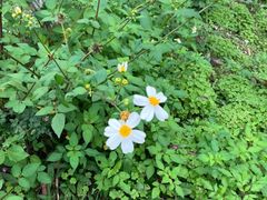 -白鹭湾湿地公园