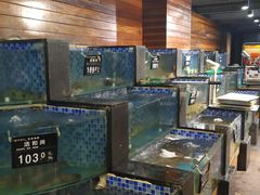 水产区-浩运·海鲜青岛菜·海胆水饺(石老人店)
