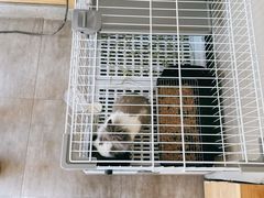 -小意思咖啡店(草桥店)