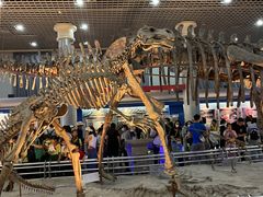 -国家自然博物馆