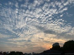 -晋情·游子轩(梅花路店)