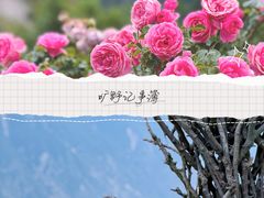 -萝卜寨羌文化生态旅游区