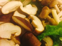 -老诚一锅羊蝎子(垡头店)