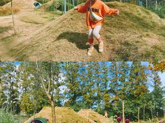 -前小桔亲子创意农场·草莓采摘·露营烧烤