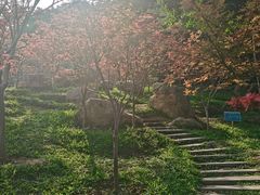 -广州市帽峰山景区