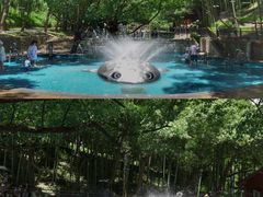 -东明山森林公园