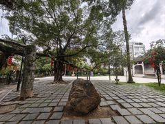 -小洲村