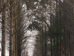-良渚古城遗址公园