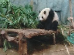 -深圳野生动物园