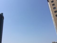 -百灵希尔顿逸林酒店大堂吧