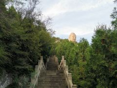 -蒙山大佛景区