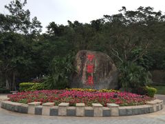 -野狸岛
