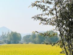 -良渚古城遗址公园