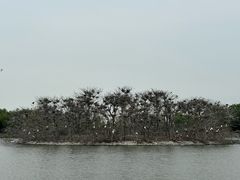 -安徽八里河旅游区