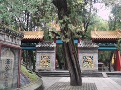 -黄帝陵