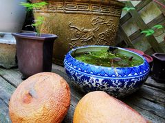 -普洱茶府(博乐广场店)