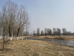 -东郊湿地公园