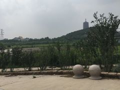 -永定河休闲森林公园