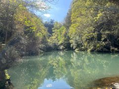 -石台牯牛降景区