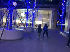 -Apple零售店(华贸购物中心店)