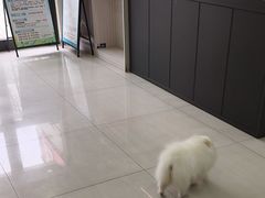 -天宠宠物医院24小时·急重症诊疗中心·全科·腔镜特色(和平分院)