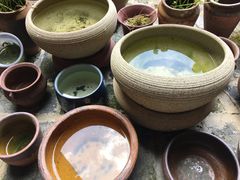 -云水谣景区-土楼之光文化园