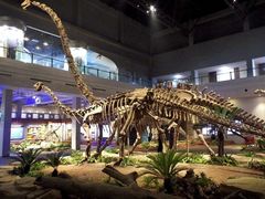 -自贡恐龙博物馆