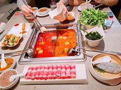 内蒙罕山白绒山羊-海底捞火锅(金地广场生日主题店)