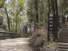 -大屏嶂森林公园