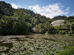 景观位-自助餐厅
