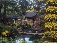 -杭州植物园