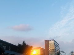 -鲤鱼塘农家山庄