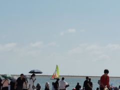 -碧海金沙