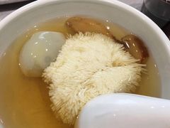 松茸炖绣球豆腐-新光酒家·河豚·海鲜·蟹料理(浦东店)