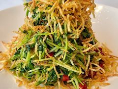 低卡巧手拌豆苗-四季民福烤鸭店(望京南湖东园店)