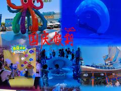 -海合安青岛极地海洋公园