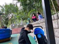 -九龙公园