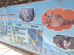 -纳吉亚猫专科动物诊疗中心(蒋宅口分院)