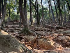 -灵岩山风景区