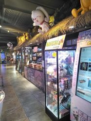 -卡通尼·Safari非洲探索乐园·生日会(金桥国际商业广场店)