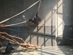 -无锡动物园·太湖欢乐园