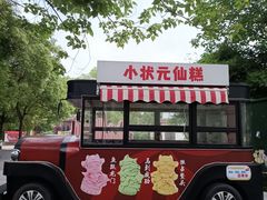 -八大山人梅湖景区