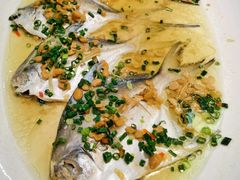 豆酱蒸海仓-龙禧渔村酒楼