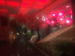 -上海外滩英迪格酒店