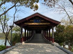 -长广溪湿地公园
