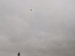 -两河城市森林公园