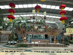 -南宫五洲植物乐园