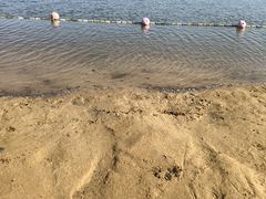 -碧海金沙